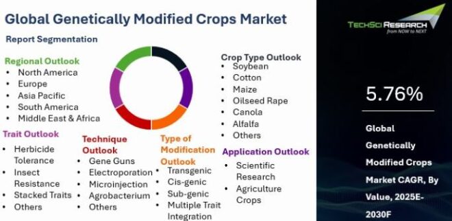 Global Genetically Modified Crops Market