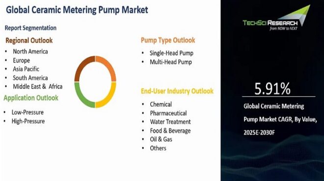 Global Ceramic Metering Pump Market