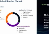 Global Enriched Biochar Market