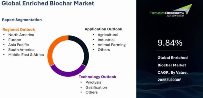 Global Enriched Biochar Market