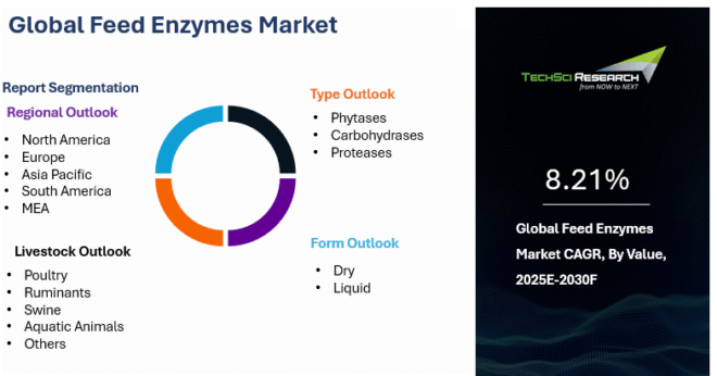 Global Feed Enzymes Market