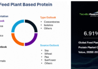 Global Feed Plant-Based Protein Market