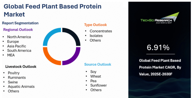Global Feed Plant-Based Protein Market