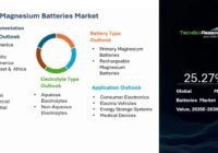 Global Magnesium Batteries Market
