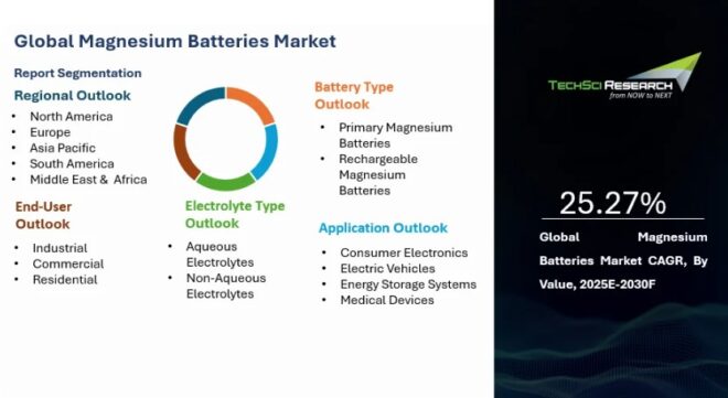 Global Magnesium Batteries Market