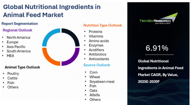 Global Nutritional Ingredients in Animal Feed Market