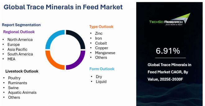 Global Trace Minerals in Feed Market
