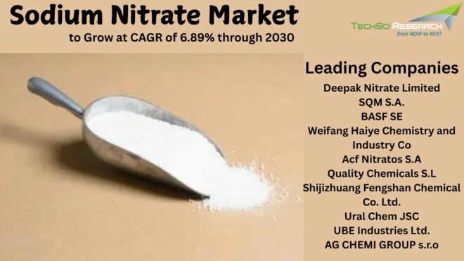 Sodium Nitrate Market