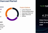 Global Charcoal Market