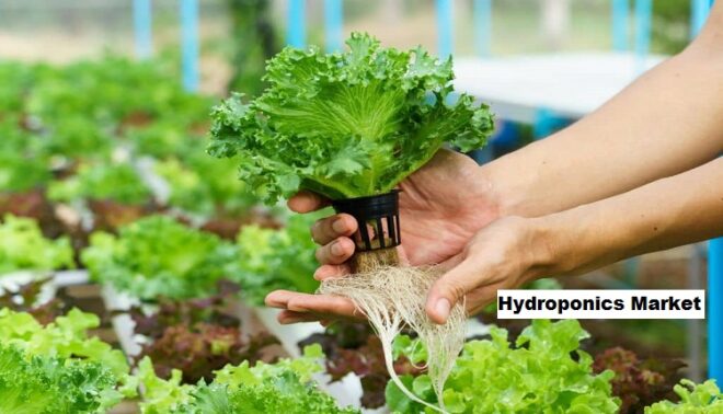 Global Hydroponics Market