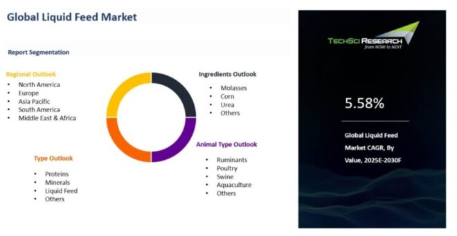Global Liquid Feed Market