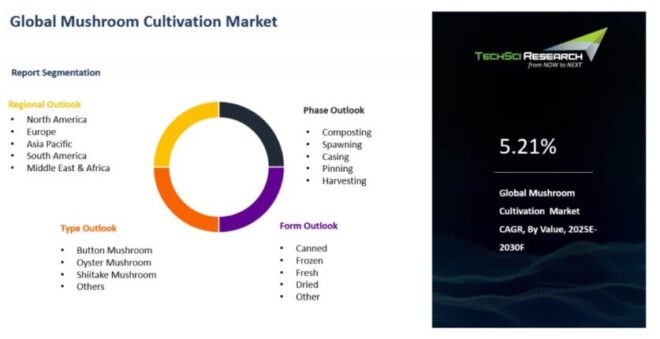 Global Mushroom Cultivation Market