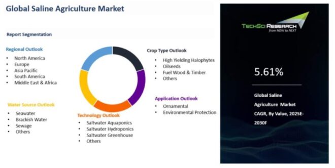 Global Saline Agriculture Market
