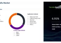 Global Alfalfa Market