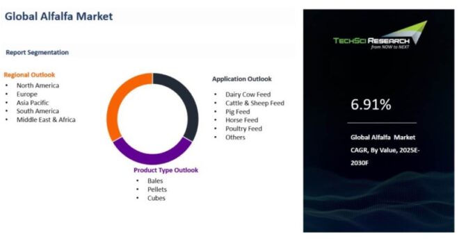 Global Alfalfa Market