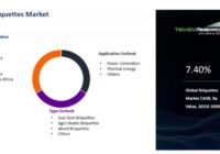 Global Briquettes Market