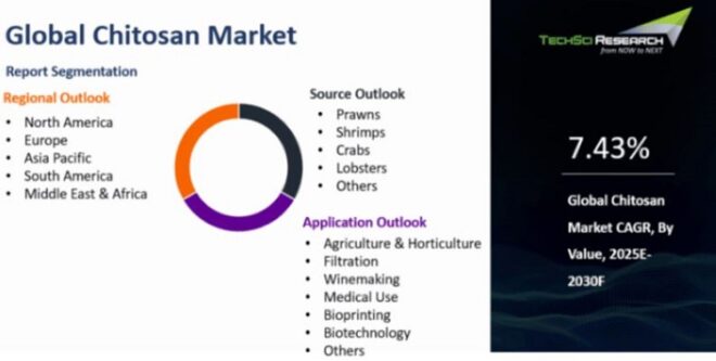 Global Chitosan Market