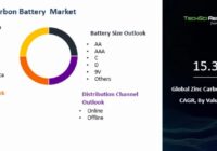 Global Zinc Carbon Battery Market