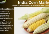 India Corn Market