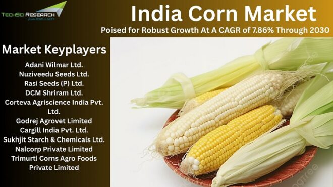 India Corn Market