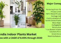 India Indoor Plants Market