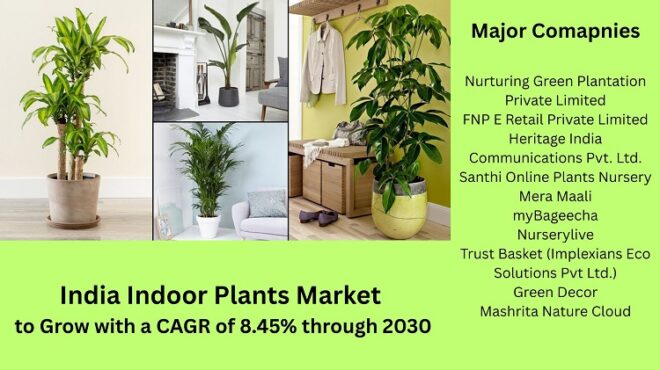 India Indoor Plants Market