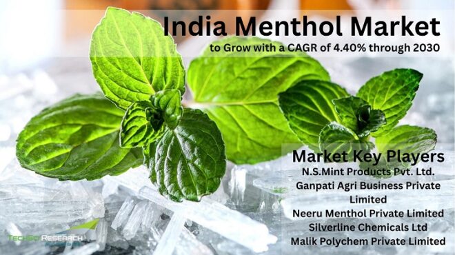 India Menthol Market