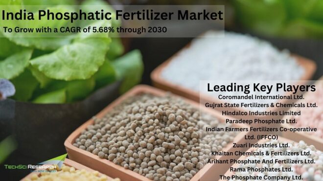 India Phosphatic Fertilizer Market