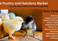 India Poultry and Hatchery Market