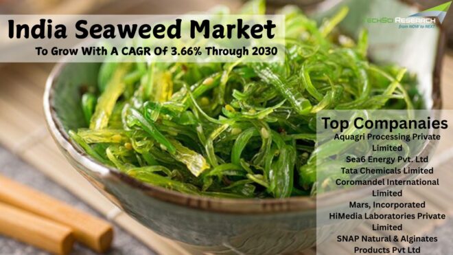 India Seaweed Market