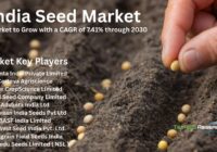India Seed Market