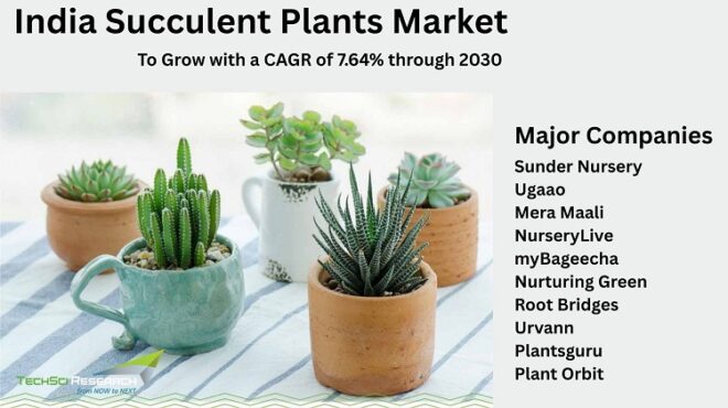 India Succulent Plants Market