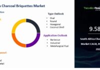 South Africa Charcoal Briquettes Market