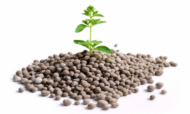 United States Fertilizer Additives Market