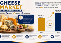 Cheese Market in US