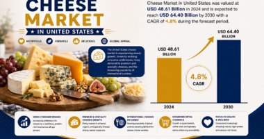 Cheese Market in US