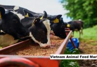 Vietnam Animal Feed Market