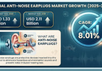 Global Anti-noise Earplugs Market