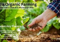 India Organic Farming Market
