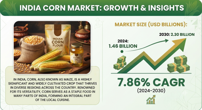 India Corn Market
