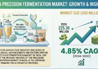 India Precision Fermentation Market