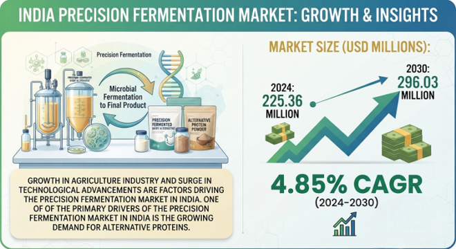 India Precision Fermentation Market